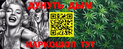 дмт Обь